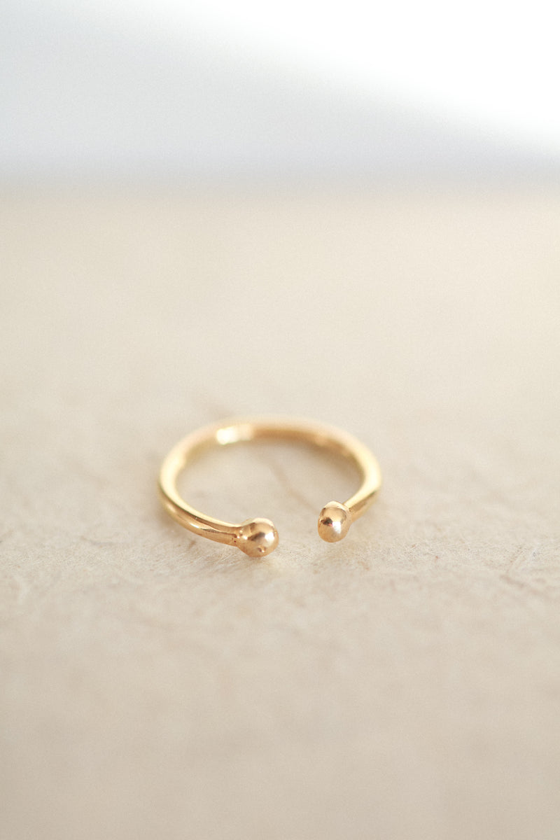 Frø ring