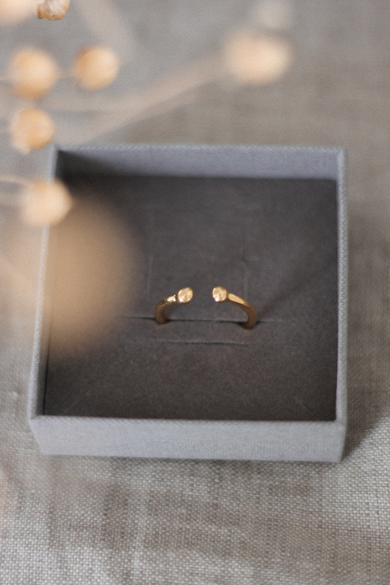 Frø ring